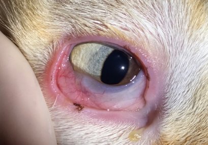 ฝนตกขนาดนี้ ต้องระวังอะไรดี